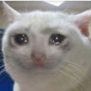 Meet your Posher, Natasha